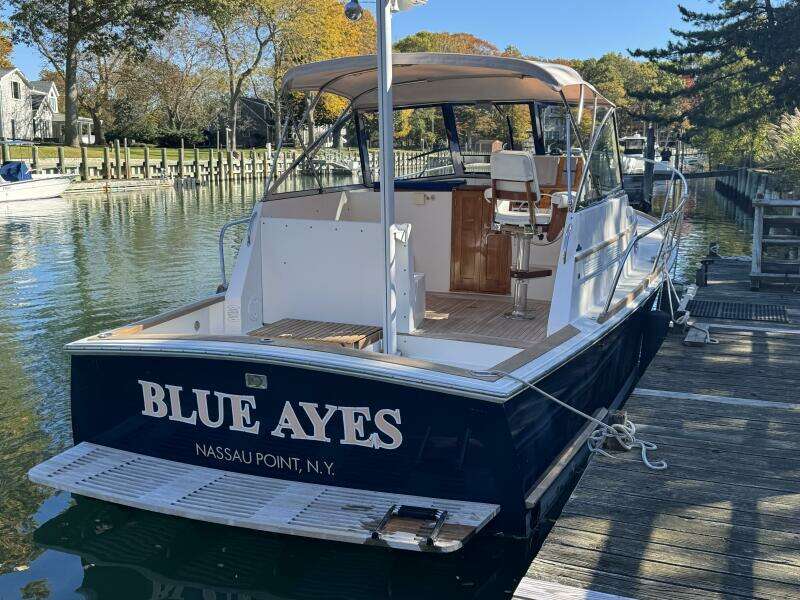 2000 Bruckmann Bluestar yacht for sale in 